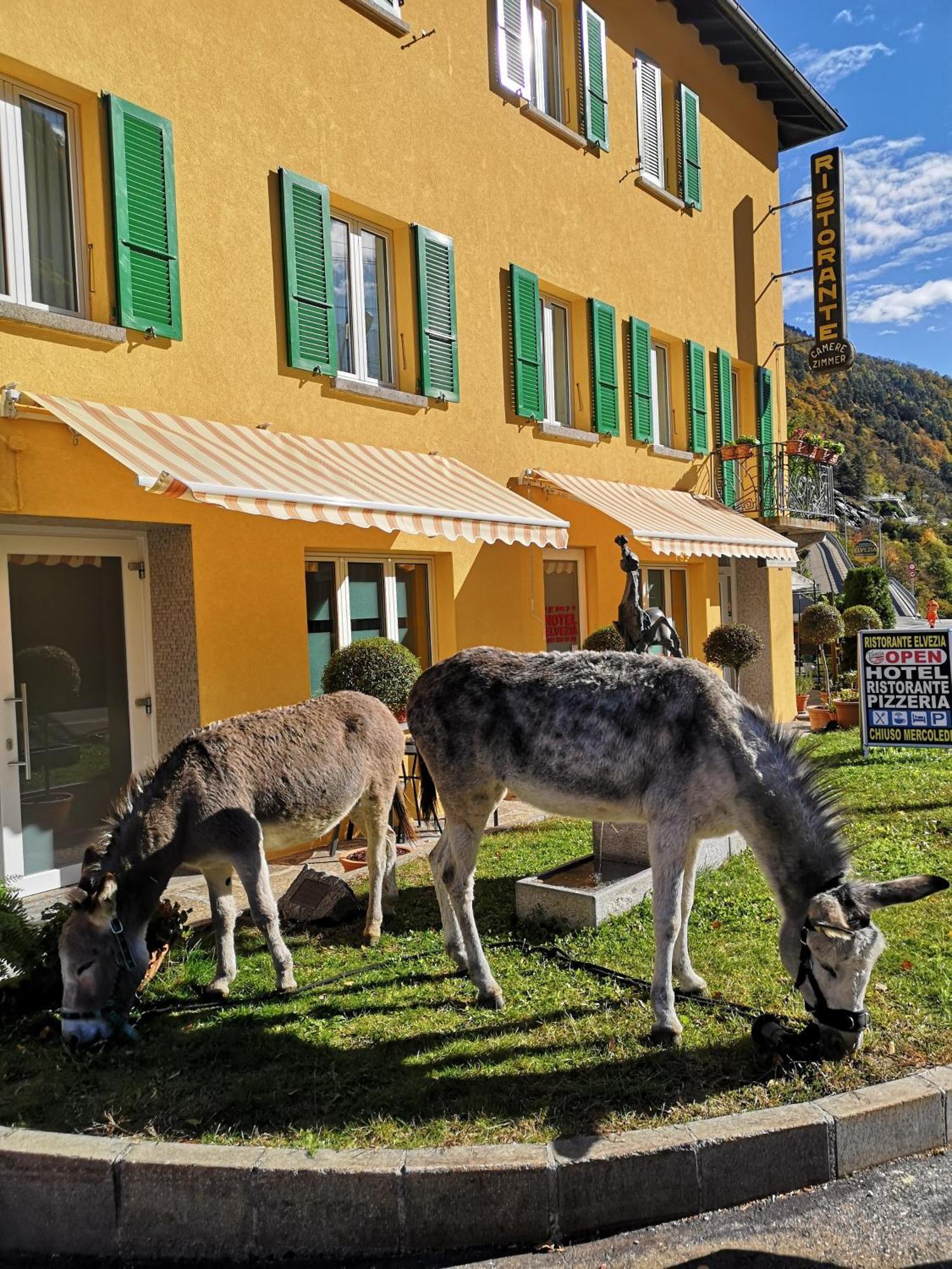 Hotel Elvezia - Self Check-In Lavorgo Exterior photo